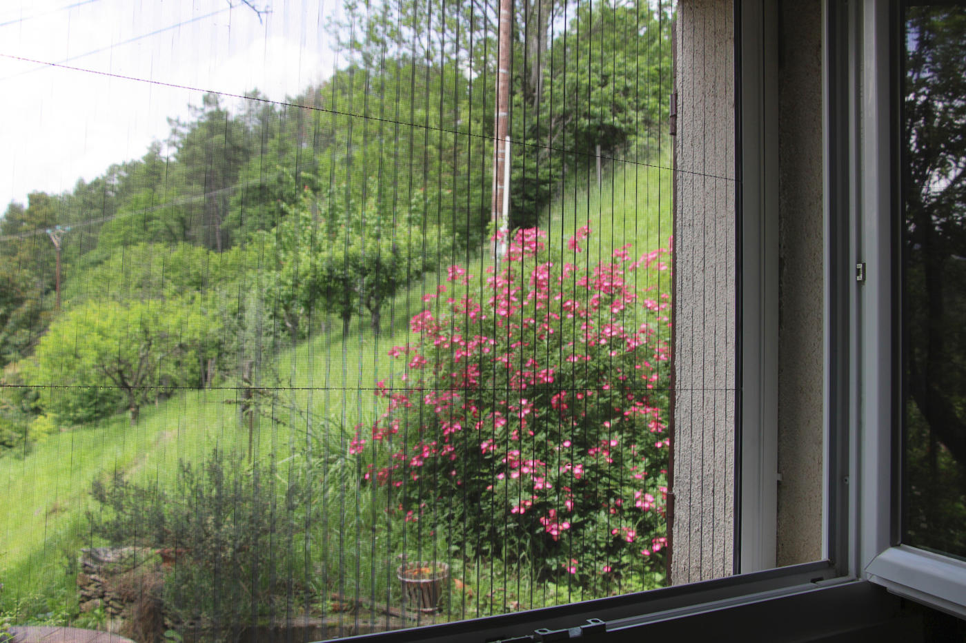 AMBIANCE_MOUST_FINEA_VUE_4